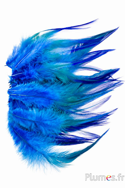 Hahnenkreuz Badger - gebleicht - 10-15 cm - türkis-blau